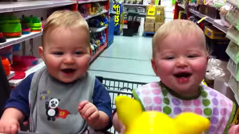 ブタのおもちゃで笑う双子の赤ちゃん あかちゃん動画
