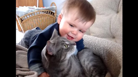 猫が大好きな赤ちゃん 猫の対応が大人で優しい あかちゃん動画